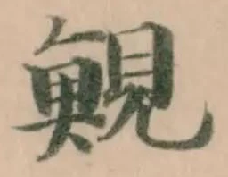 𩷪の位置