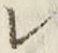 文字レ