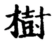 글자 樹