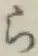 文字ら