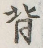 背 위치 확인됨