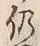 글자 仍