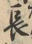 長 위치 확인됨