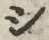 글자 シ
