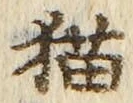 文字 猫