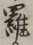 羅 위치 확인됨