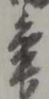 年 위치 확인됨