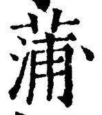 文字蒲