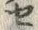 “セ”字
