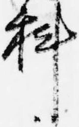 科 위치 확인됨