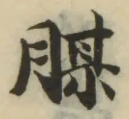 Đã định vị 腜