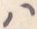 𛂞の位置
