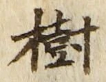 글자 樹