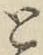 文字 と