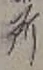 字所
