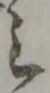 之 위치 확인됨