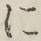 글자 に