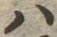𛂞 위치 확인됨