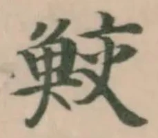 Đã định vị 鮫