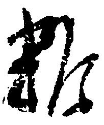 雑の位置