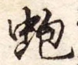 蚫の位置