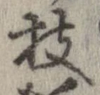 位置 確認된 枝