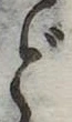 位置 確認된 ど