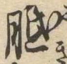 胝 위치 확인됨