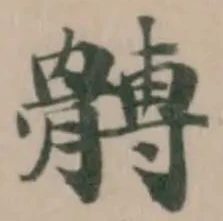 髆の位置