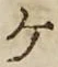 字ケ