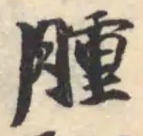 腫 위치 확인됨