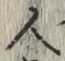 글자 人