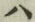 字ハ
