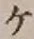 字ケ