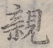 親 위치 확인됨