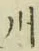 글자 川