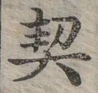 已定位契