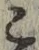 文字 こ