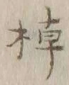 글자 棹