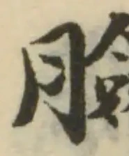 位置 確認된 臉
