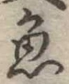 魚 위치 확인됨