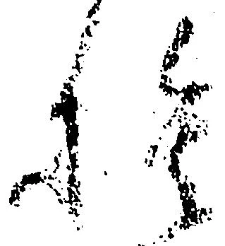 已定位捨