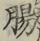 文字腸
