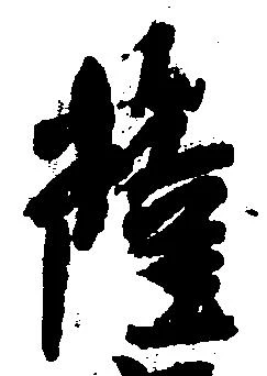 已定位薩