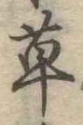 草 위치 확인됨