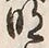 Chữ 明