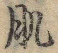 文字肌