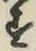 Character す