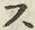 文字 ス