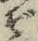 글자 ぞ